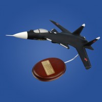 Sukhoi Su-47 Berkut Model Scale:1/74