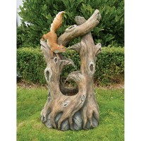 Squirrel on Branches