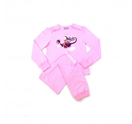 Girls Organic Pyjamas: Princess & Her Dragon