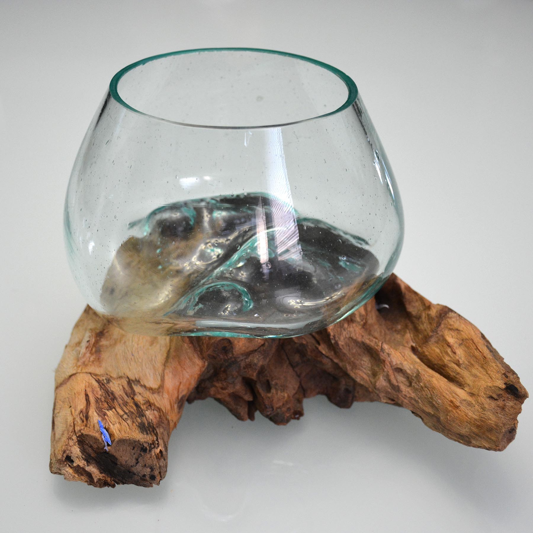 Hand Blown Molten Glass on Teak Driftwood Terrarium / Bowl