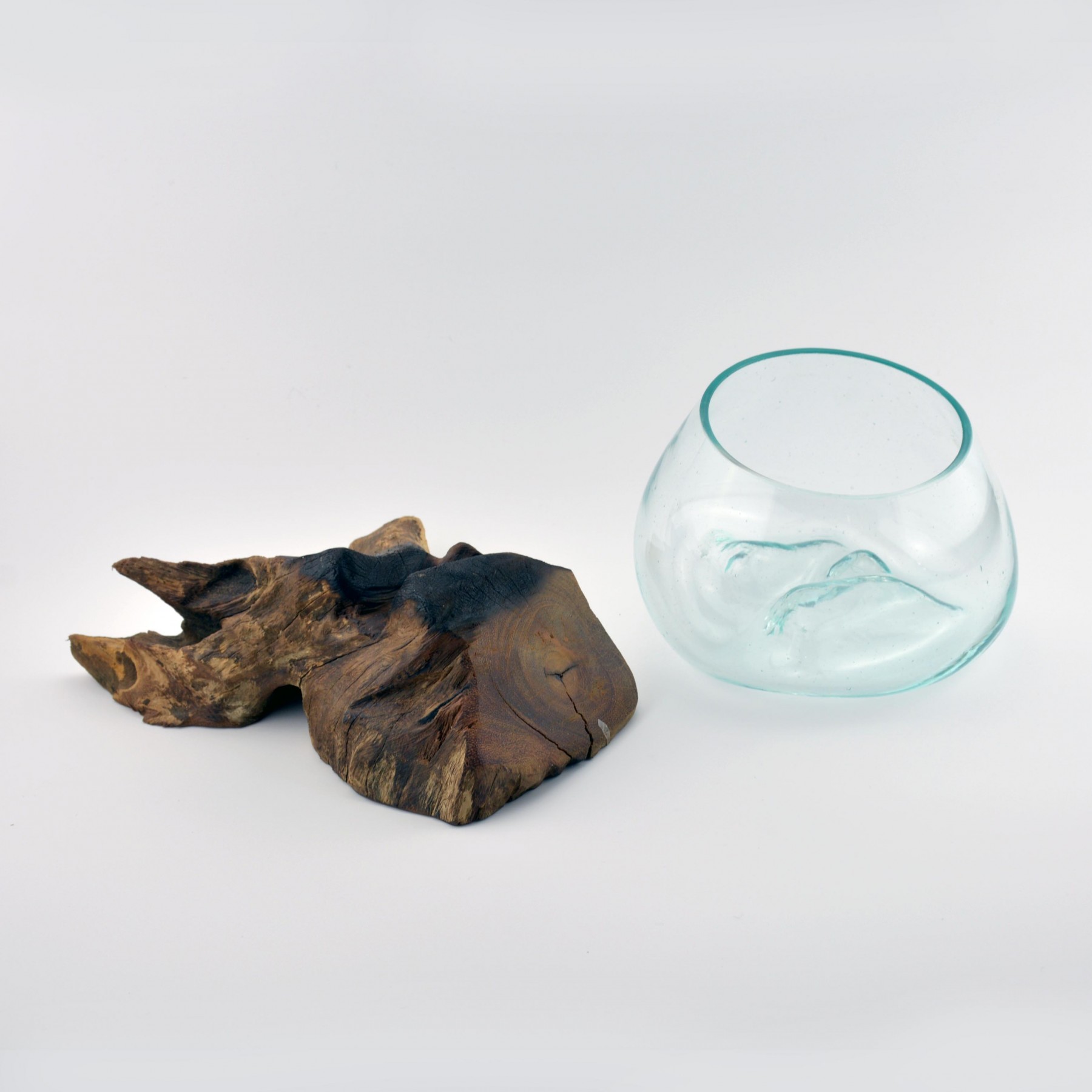 Hand Blown Molten Glass on Teak Driftwood Terrarium / Bowl