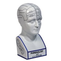 Phrenology Head - Architectural Replicas of historical buildings