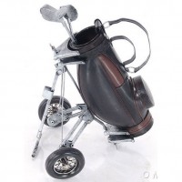 Black Golf Bag - Model