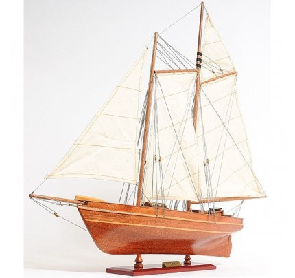 America Schooner 1851 Model Ship