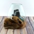 Molten Glass on Teak wood - Hand Blown Glass Sculpture - Small